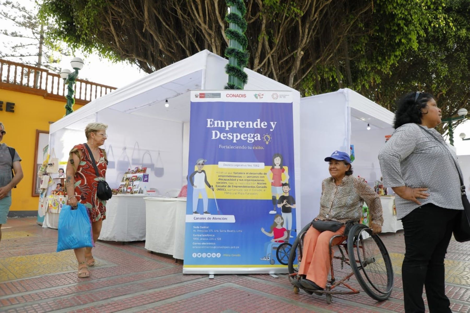 Emprende y Despega: feria de emprendedores con discapacidad en Callao y ...