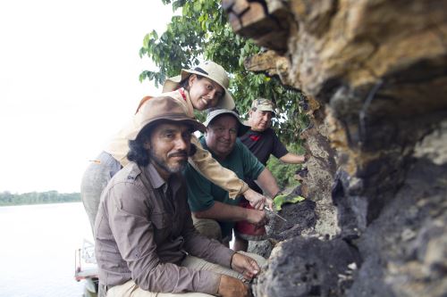 Paleontólogos (de izquierda a derecha): Rodolfo Salas-Gismondi (UPCH), Julia Tejada-Lara (Instituto de Tecnología de California, EE.UU.), John Flynn (Museo Americano de Historia Natural, EE. UU.) y el guía local Michel Valles durante la expedición del 2018 al río Napo mientras excavaban en un afloramiento fosilífero de 13 millones de años. Foto: Aldo Benites-Palomino.