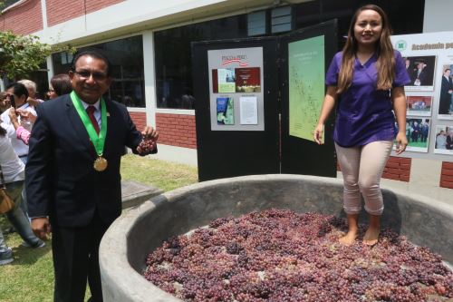Presidente del Club Ica, Mario Mendoza, apreció pisa de uva como parte de la Fiesta de la Vendimia.