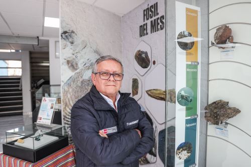 El Ingemmet es el ente rector de la paleontología en el país.