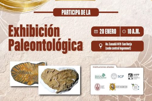 El Ingemmet ha organizado una exposición paleontológica para el 20 de enero, a las 10 a. m., con motivo del Día Nacional de la Paleontología.