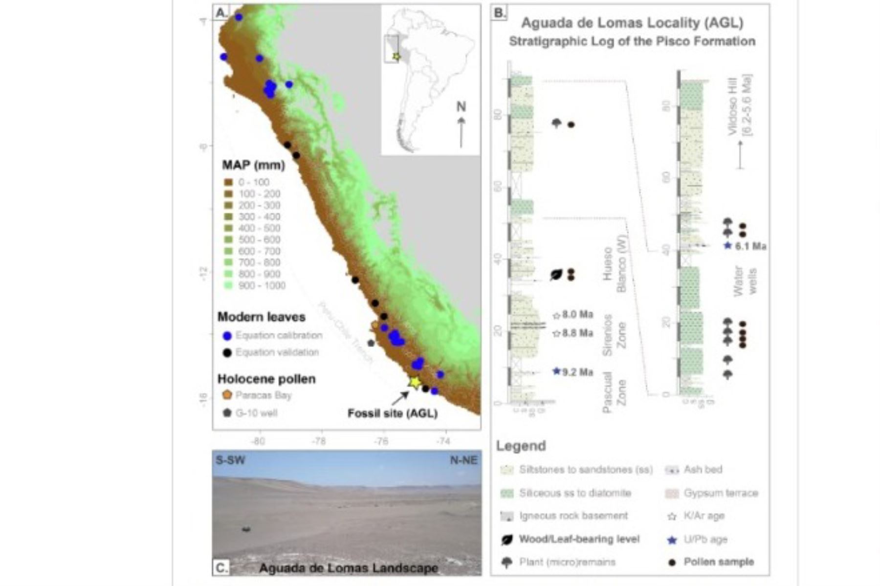 Ubicación del sitio fósil en la región Arequipa y posición estratigráfica. Figura extraída de art. de Communications Earth & Environment. Ubicación del sitio fósil en la región Arequipa y posición estratigráfica. Figura extraída de art. de Communications Earth & Environment.
