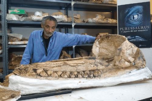Paleontólogo peruano Mario Urbina en el Departamento de Paleontología de Vertebrados del Museo de Historia Natural de San Marcos. Foto: UNMSM.