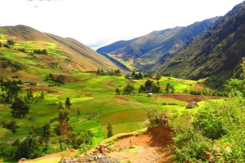 El ACR San Pedro de Chonta está ubicada entre los distritos de Cholón y Huacrachuco, en la provincia de Marañón, región Huánuco. El ACR San Pedro de Chonta está ubicada entre los distritos de Cholón y Huacrachuco, en la provincia de Marañón, región Huánuco.