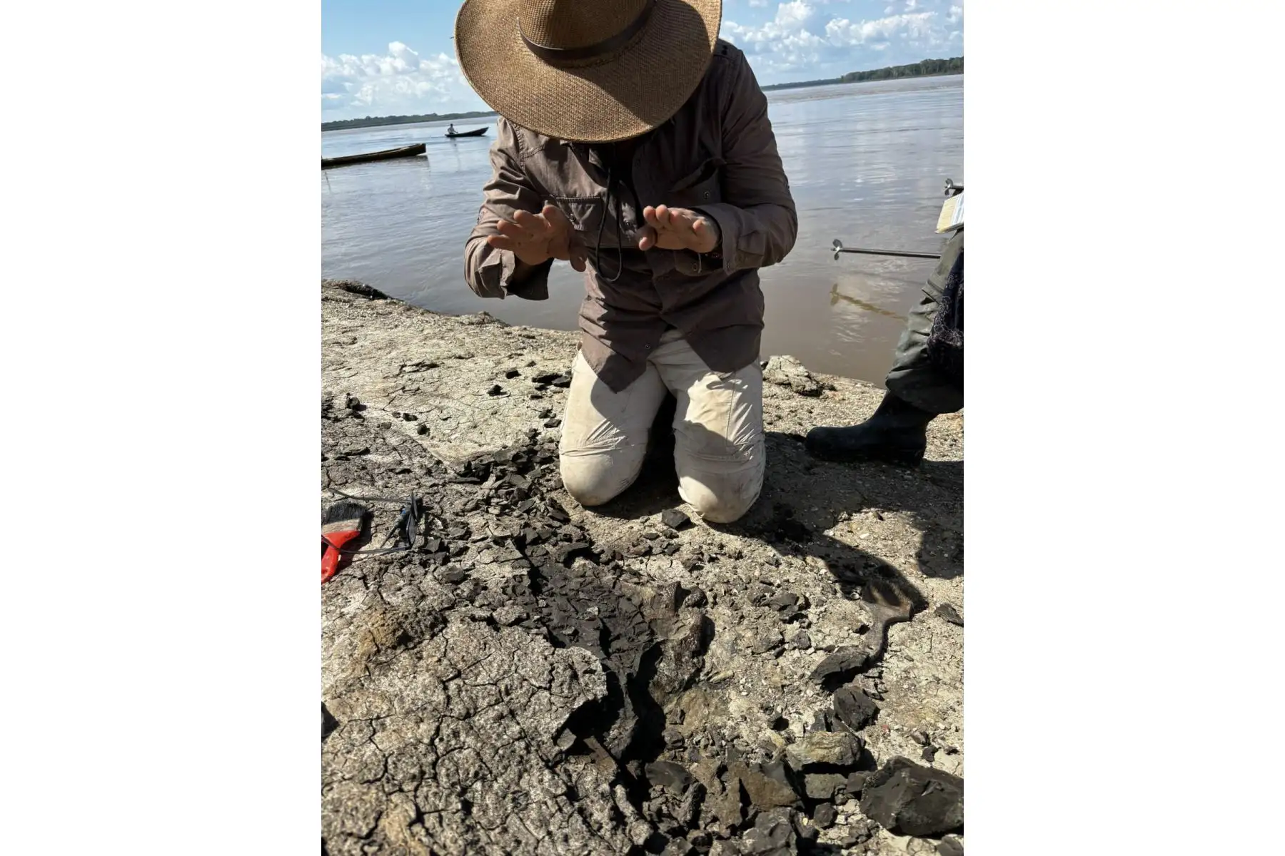 El paleontólogo peruano Rodolfo Salas-Gismondi, quien lideró la expedición científica, le rindió pleitesía al fósil de 'Gnatusuchus pebasensis', por estar en perfecto estado de conservación. Foto: Rodolfo Salas-Gismondi