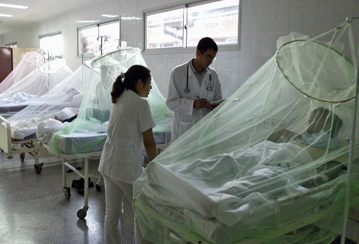 Dengue: casos van disminuyendo en regiones, informa el Minsa