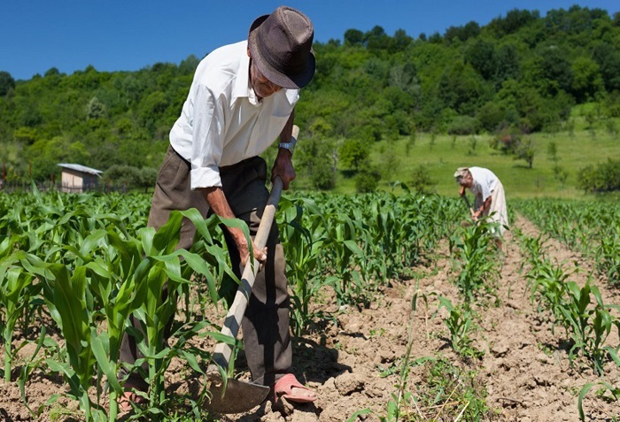 Nuevas oportunidades y desafíos para el sector agropecuario