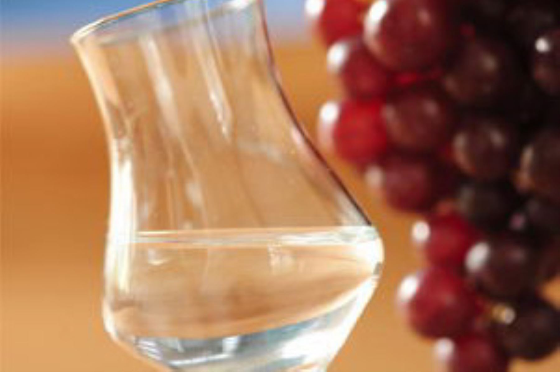 Pisco, motor estratégico de la cultura y economía nacional
