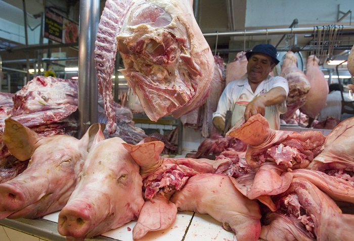 Oportunidades para porcicultores, tras triunfo del pan con chicharrón