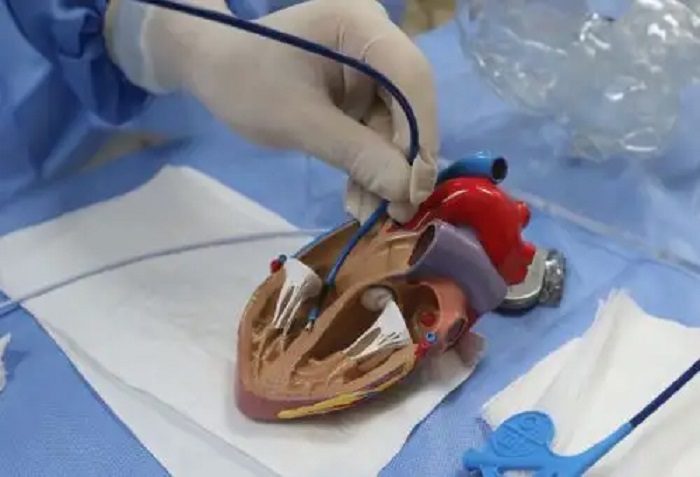 Día Mundial del Corazón: Prevención de enfermedades cardiovasculares