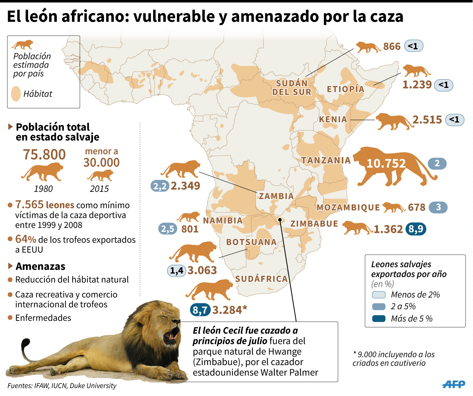 León africano: vulnerable a la caza