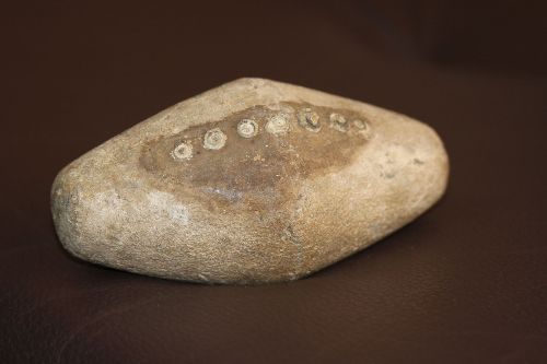 TRUJILLO, PERÚ-ENERO 18. Hallazgo de objeto metálico en Chan Chan genera una nueva hipótesis: el plomo ya existía en Perú antes de la llegada de los españoles. Foto: Proyecto especial Chan Chan.