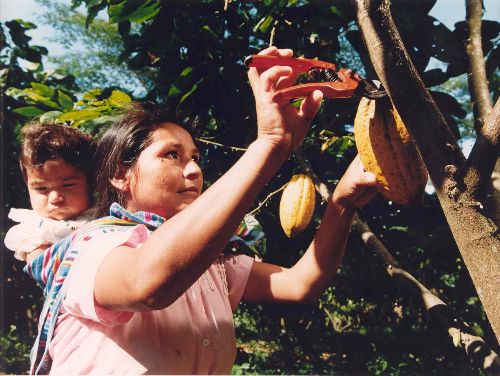 Foto: ANDINA/Difusión.