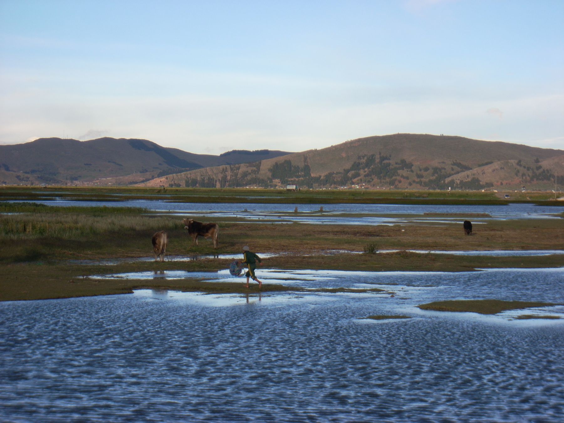 Más de 50 centros poblados de la región Puno están en riesgo ante la crecida del caudal de los ríos Verde y Ramis. ANDINA/archivo