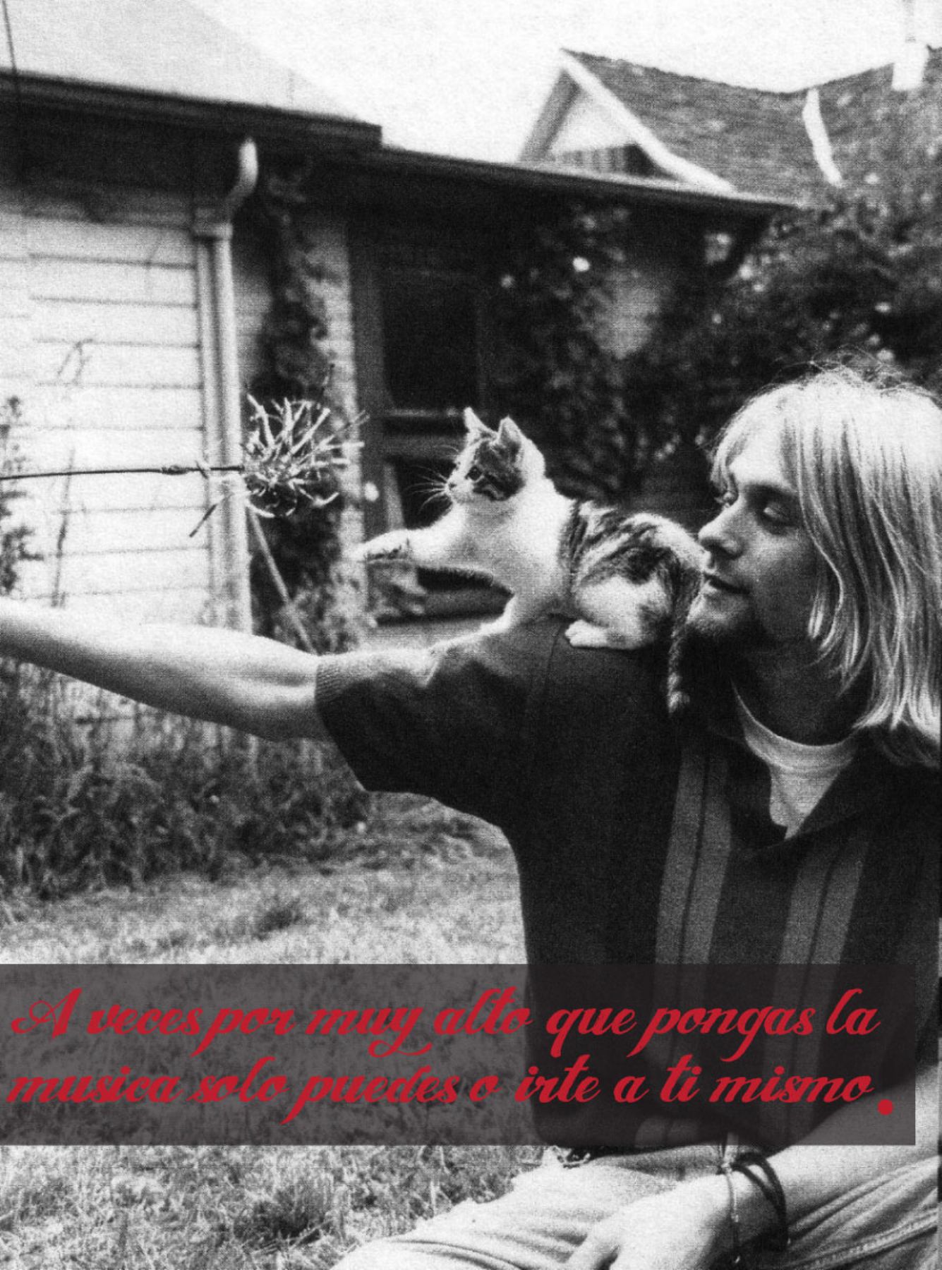 10 frases para recordar a Kurt Cobain | Noticias | Agencia Peruana de  Noticias Andina