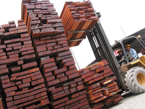 Madera de exportación. ANDINA/Difusión