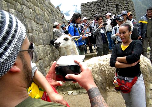Foto: ANDINA/Percy Hurtado Santillán.
