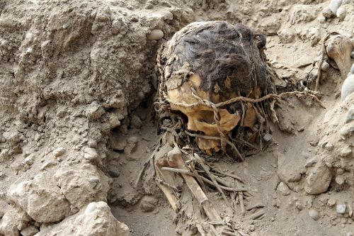 Restos humanos de las culturas Lima e Ychma hallados en la Videna.
