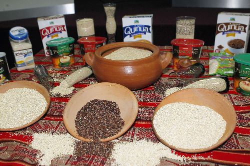 Foto: ANDINA/Prensa Presidencia.