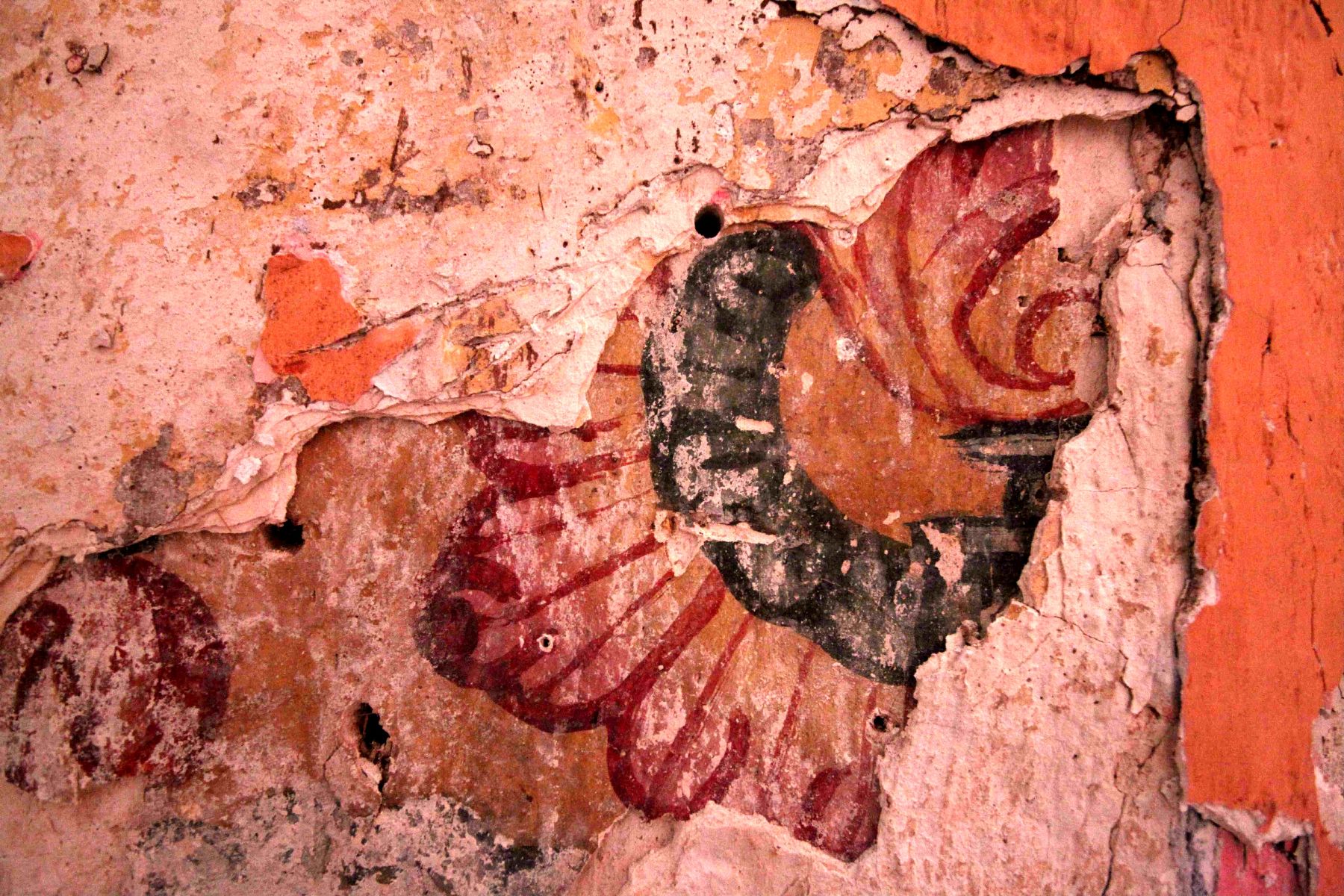 La pintura mural hallada es polícroma y de motivos florales.