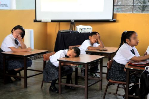 Anemia afecta aprendizaje escolar, advierten especialistas del INS. Foto: ANDINA/Difusión