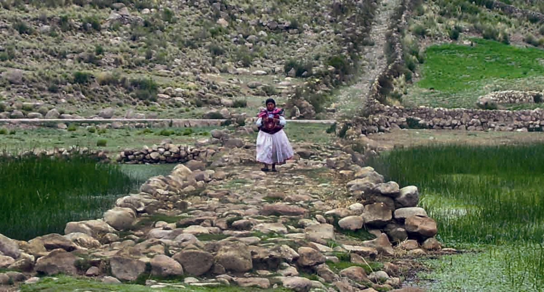 The Qhapaq Ñan, also known as the Andean road system