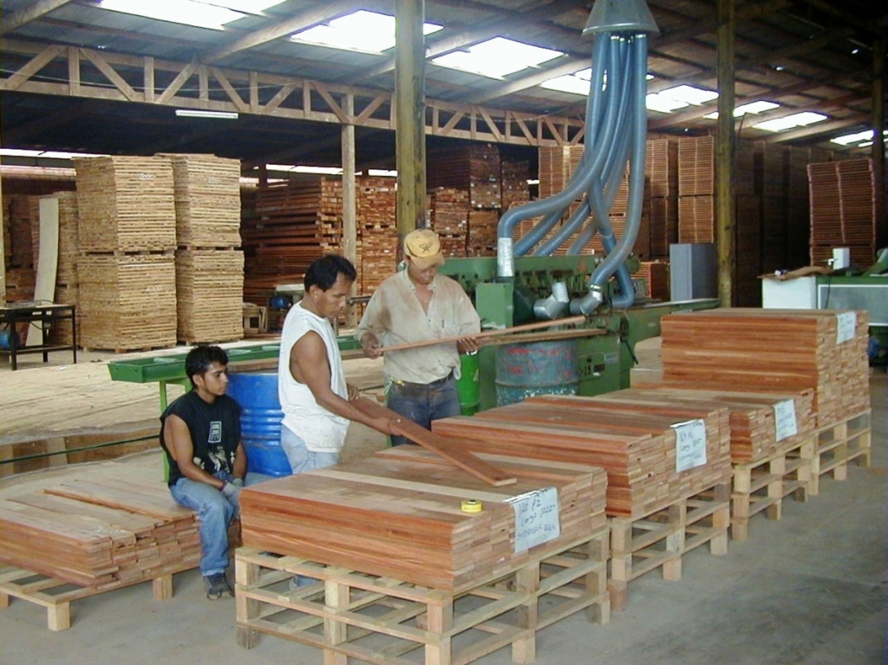Con el futuro parque industrial habrá una mejor fiscalización de la madera y control de la tala ilegal.