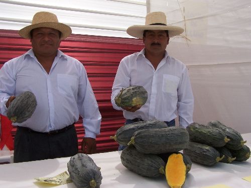 El loche es uno de los productos emblemáticos de Lambayeque.