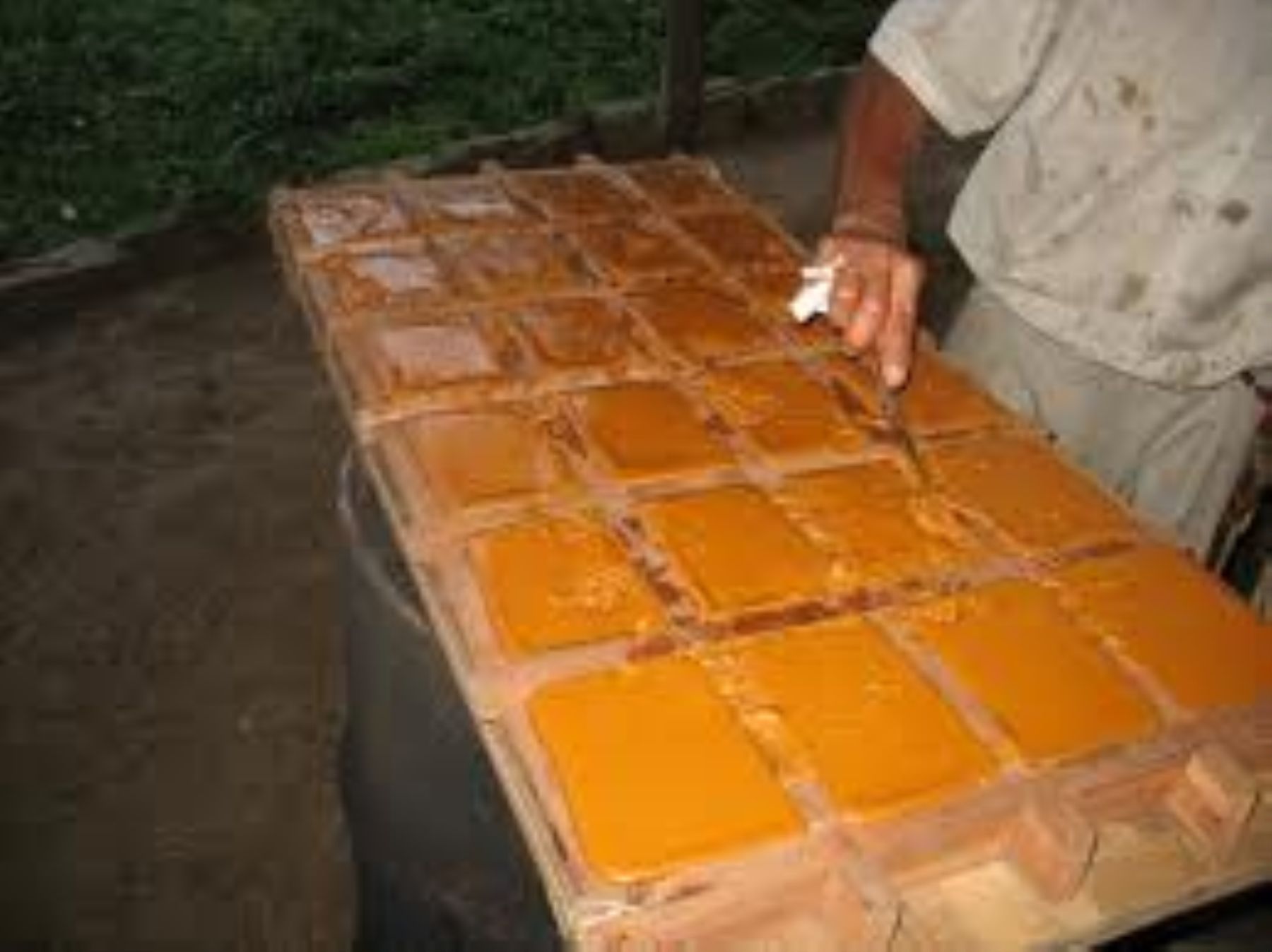 Impulsan producción de panela granulada en Piura. Foto: ANDINA/Internet.