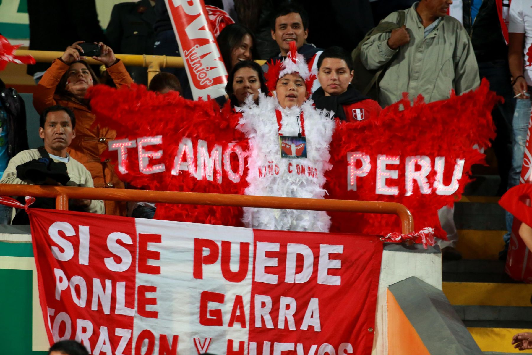 LIMA, PERÚ-JUNIO 07. Aficionados peruanos y ecuatorianos dan su aliento previo al encuentro de sus respectivas selecciones.

Foto: ANDINA/Juan Carlos Guzmán Negrini.