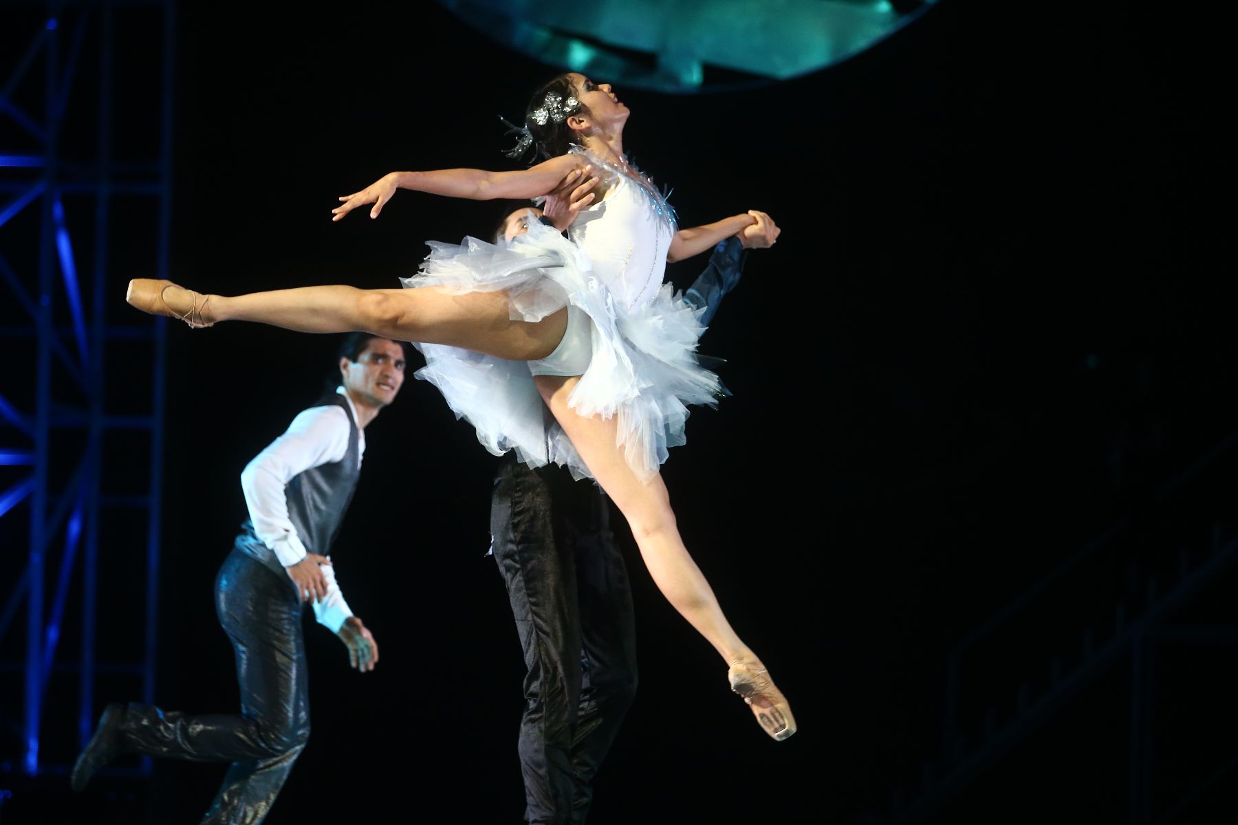 "El lago de los cisnes" vuelve 30 años después. Foto: ANDINA/Marco del Río.