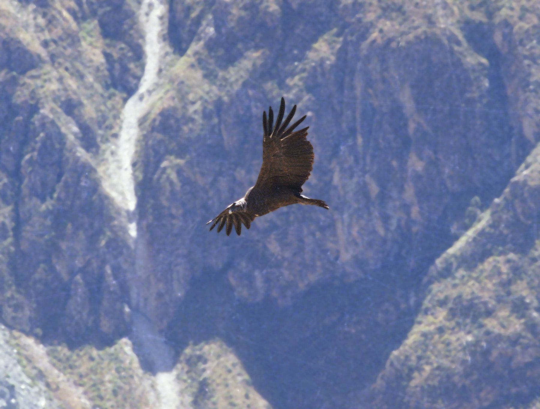 Some 82757 Tourists Visited Colca Valley So Far This Year News