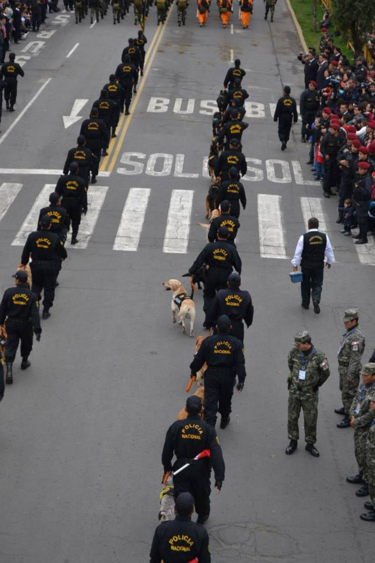 Desfile de Unidad Canina de la PNP en Parada Cívico Militar por Fiestas Patrias.