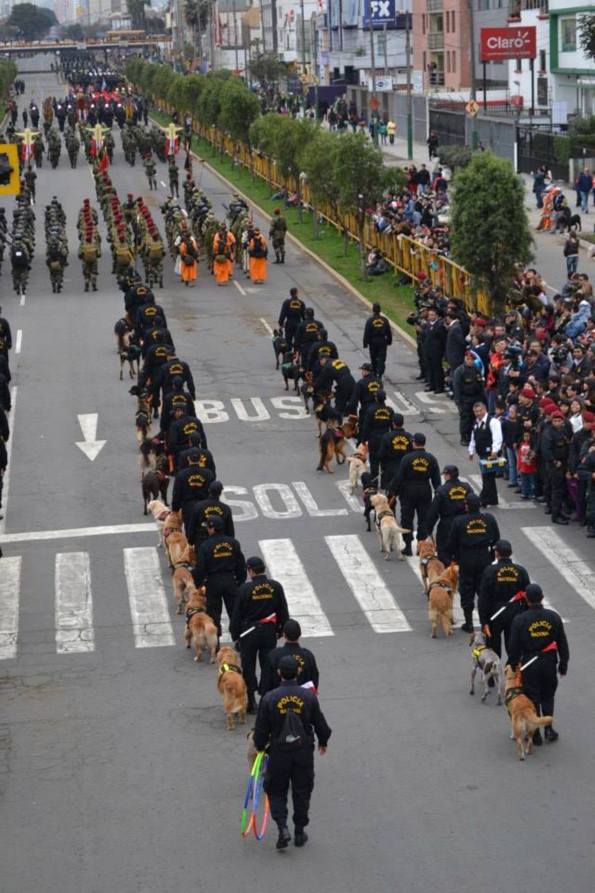 Integrantes de la Unidad Canina de la PNP desfilan en Parada Cívico Militar por 192 aniversario patrio.