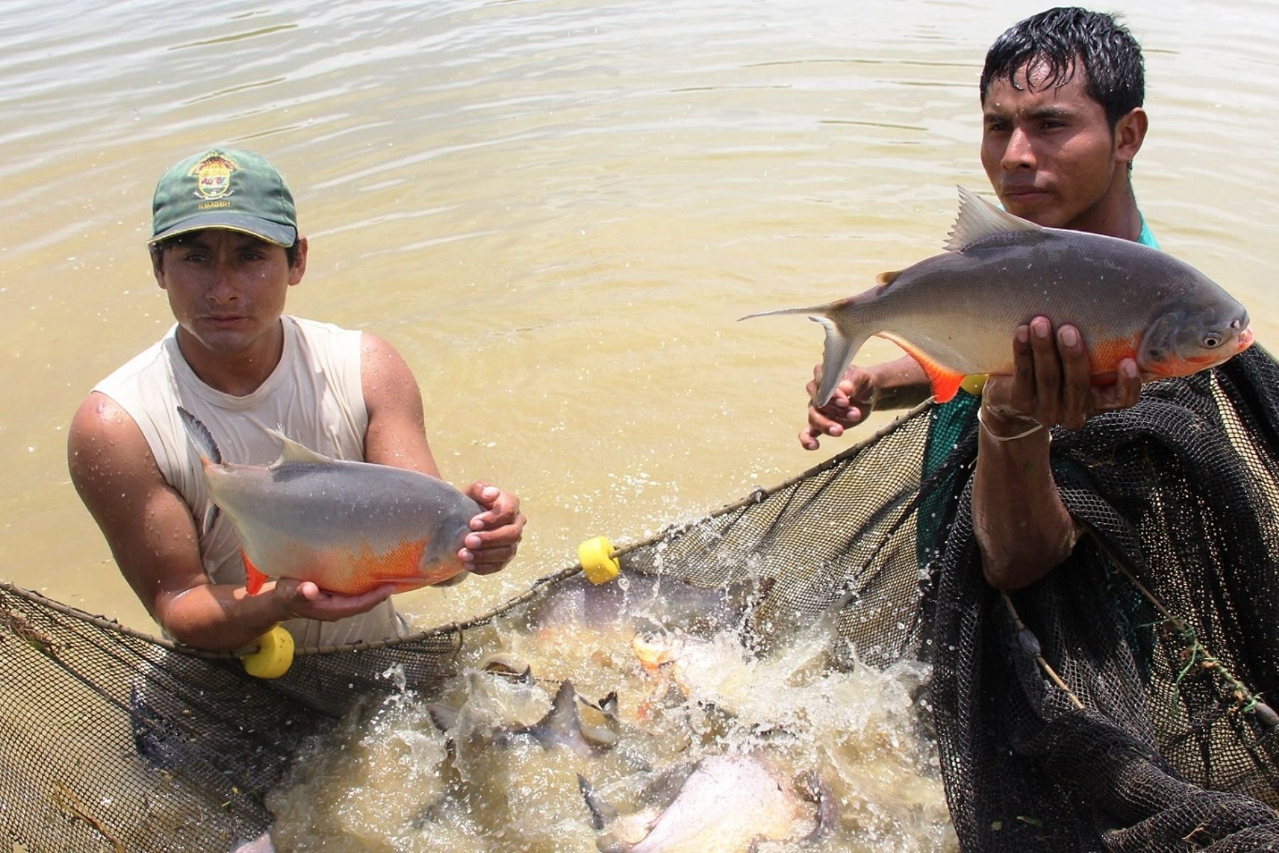 El primer Censo de Pesca Continental en todo el Perú se inicia el 5 de agosto. Foto: ANDINA/Difusión.