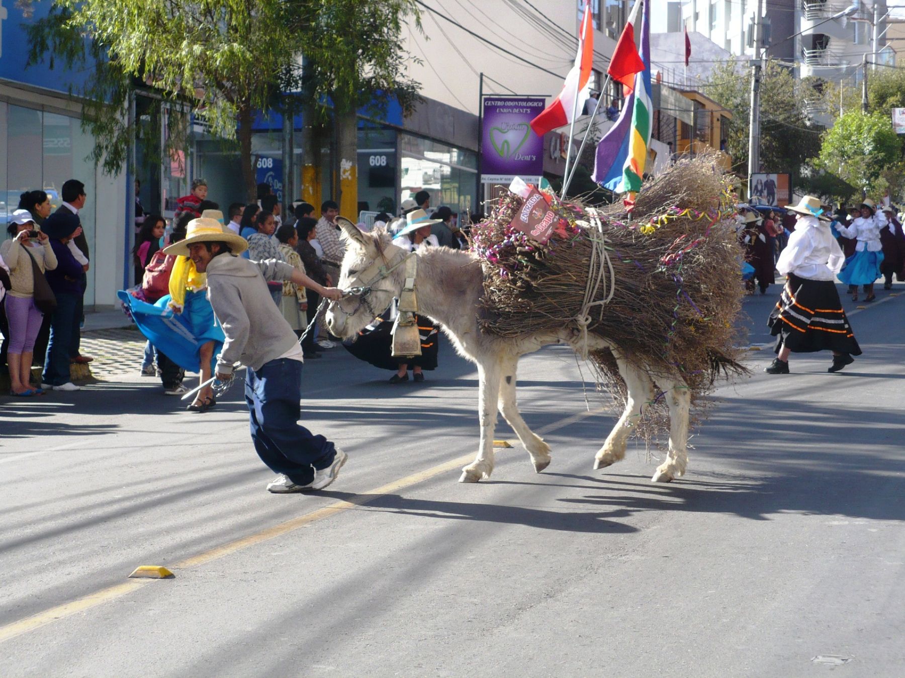 El carnaval de Arequipa y otras danzas típicas de la ciudad participan del desfile por la entrada de ccapo que se inició en el distrito de Cayma.