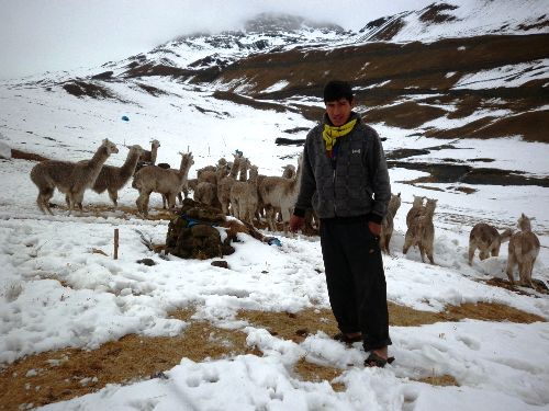 La ocurrencia de lluvias de ligera a moderada intensidad con probable nieve aislada también de ligera intensidad, se prevé desde hasta la medianoche en algunas regiones de la sierra, informó el Servicio Nacional de Meteorología e Hidrología (Senamhi).Foto: ANDINA.