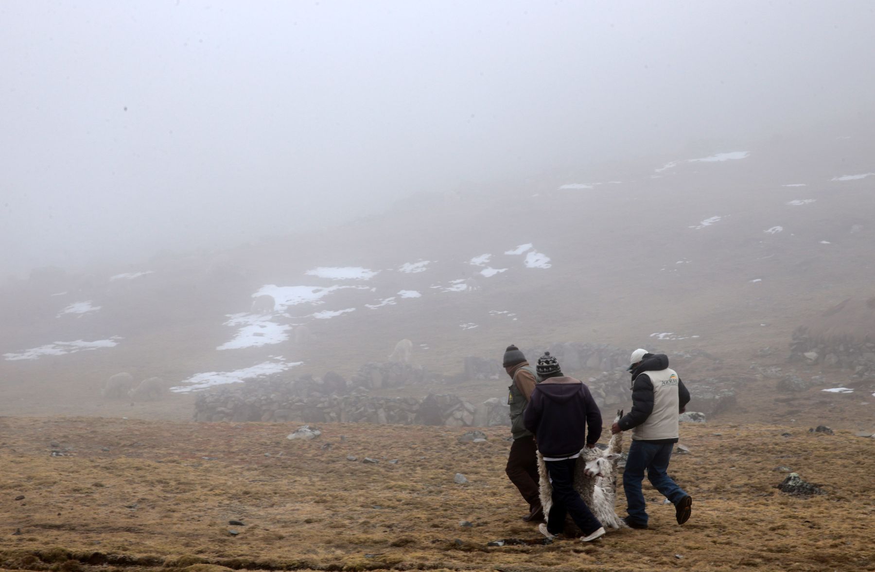 La zona altoandina de Puno soporta una helada meteorológica con temperaturas de hasta 15 grados bajo cero. ANDINA/Carlos Lezama Villantoy