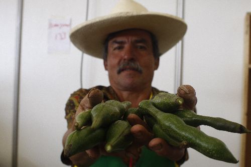 Frejol pajuro se ofrece en el Gran Mercado de Mistura 2013.