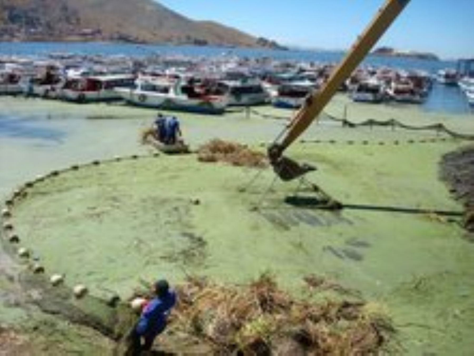 La bahía interior del lago Titicaca presenta altos niveles de contaminación, revela la ANA.