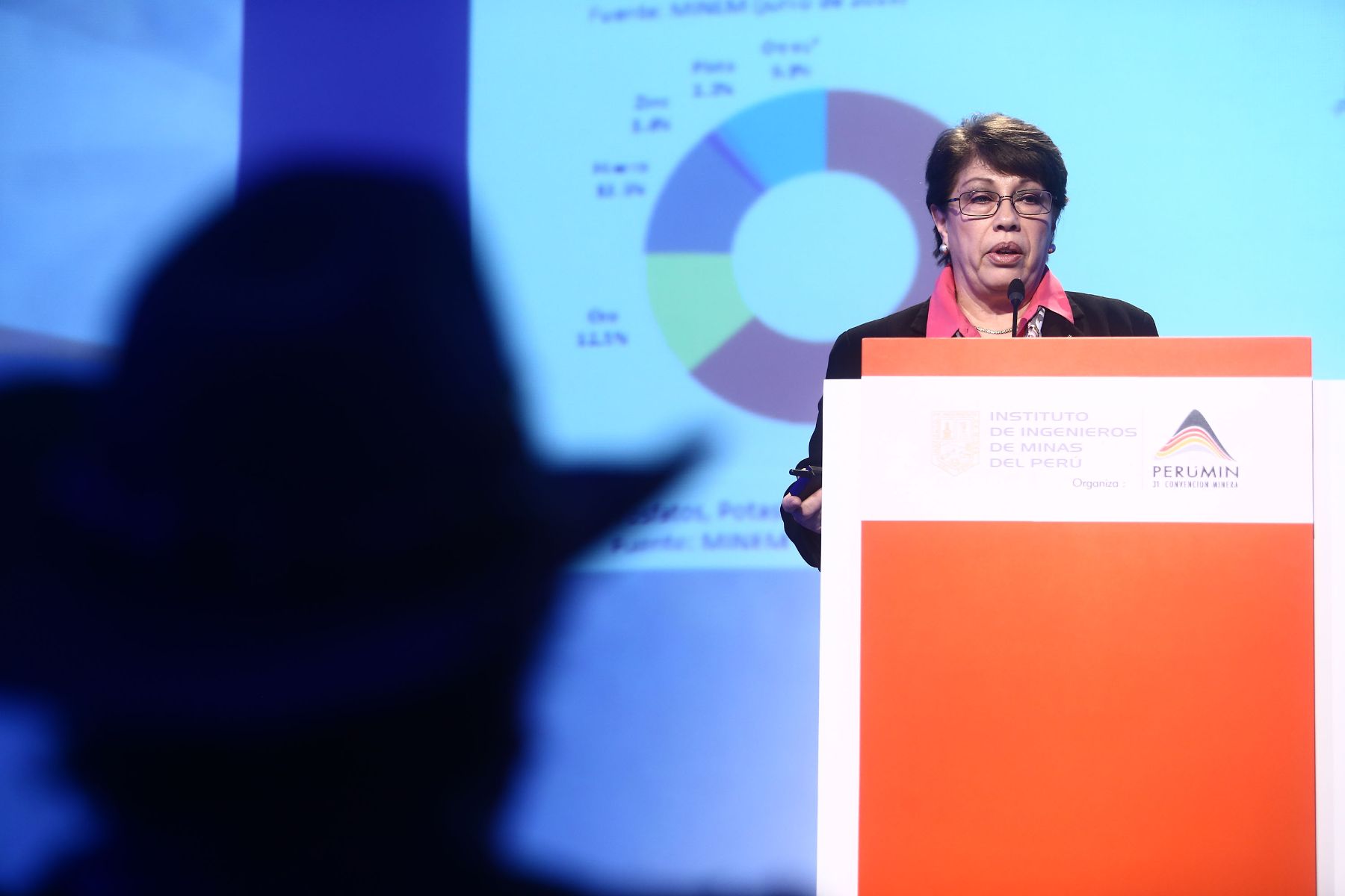 AREQUIPA,PERÚ-18 SETIEMBRE.La presidenta de la Sociedad Nacional de Minería, Petróleo y Energía (SNMPE), Eva Arias, expone  en el marco de la 31 Covención Minera PERUMIN 2013 en el Centro de Covenciones Cerro Juli-Arequipa.Foto: ANDINA/Jack Ramón
