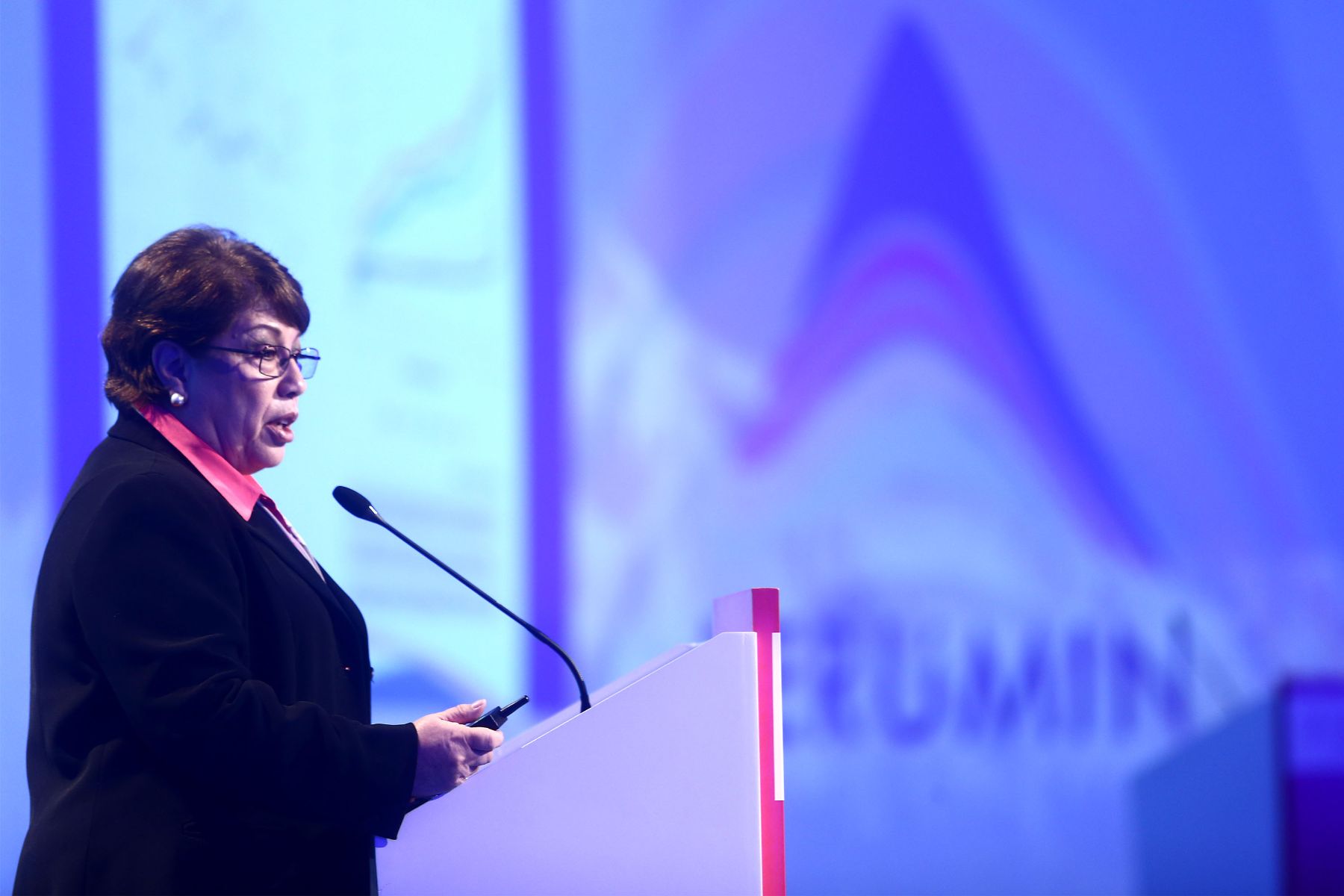 AREQUIPA,PERÚ-18 SETIEMBRE.La presidenta de la Sociedad Nacional de Minería, Petróleo y Energía (SNMPE), Eva Arias, expone  en el marco de la 31 Covención Minera PERUMIN 2013 en el Centro de Covenciones Cerro Juli-Arequipa.Foto: ANDINA/Jack Ramón