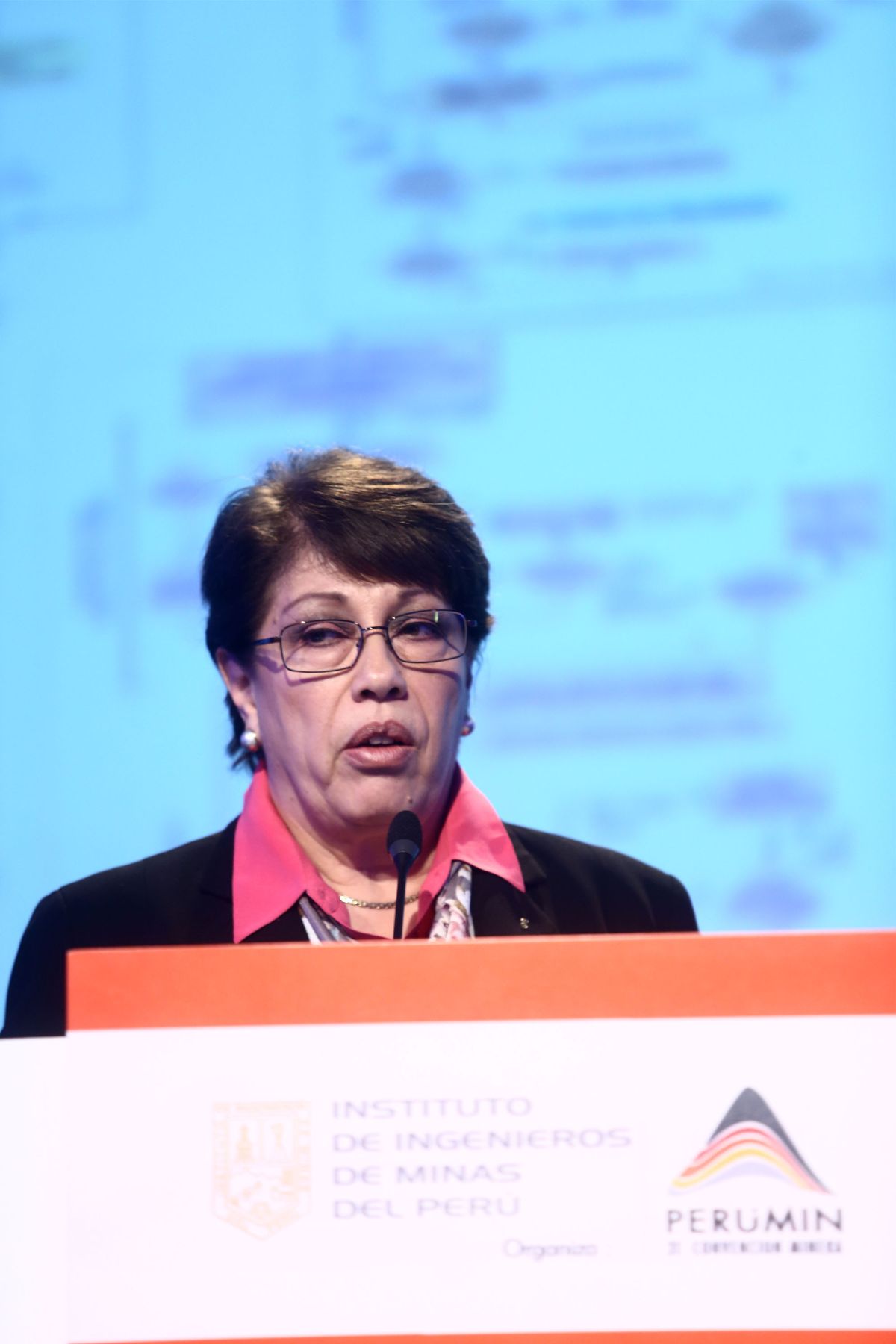 AREQUIPA,PERÚ-18 SETIEMBRE.La presidenta de la Sociedad Nacional de Minería, Petróleo y Energía (SNMPE), Eva Arias, expone  en el marco de la 31 Covención Minera PERUMIN 2013 en el Centro de Covenciones Cerro Juli-Arequipa.Foto: ANDINA/Jack Ramón