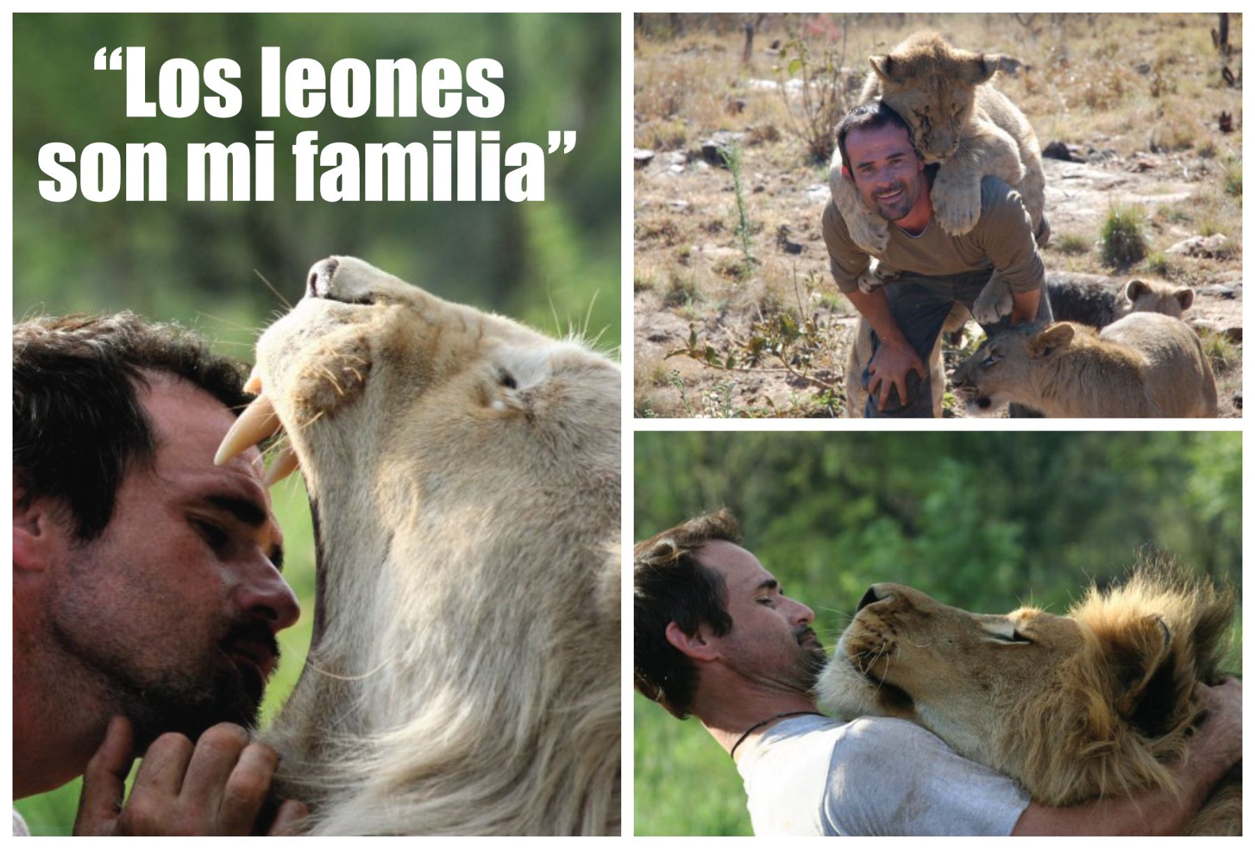 El hombre que abraza leones | News | ANDINA - Peru News Agency