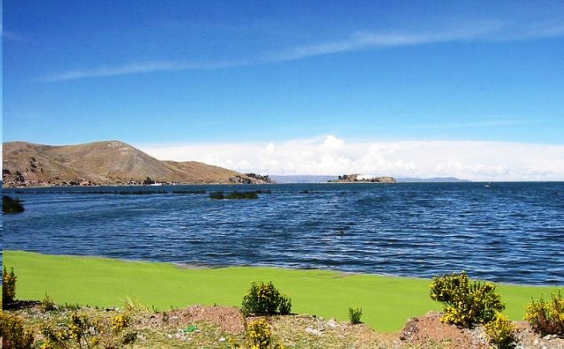 El río Ramis, en la región Puno, se encuentra en Alerta Hidrológica Roja tras registrar un aumento de su caudal en 79% y superar su altura máxima en las últimas horas, debido a las persistentes lluvias que acontecen en el altiplano, informó el Senamhi. ANDINA/Difusión