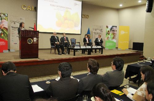 Ministra de Comercio Exterior y Turismo, Magali Silva.