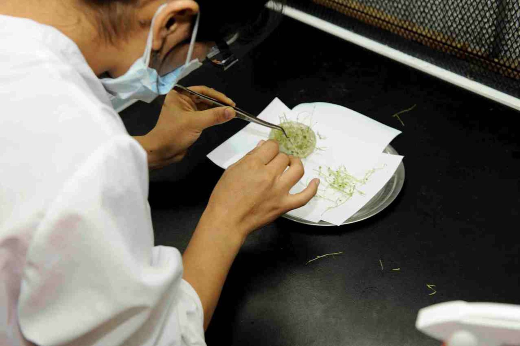 Peru's Concytec hosts int'l science fair in Lima | Noticias | Agencia ...