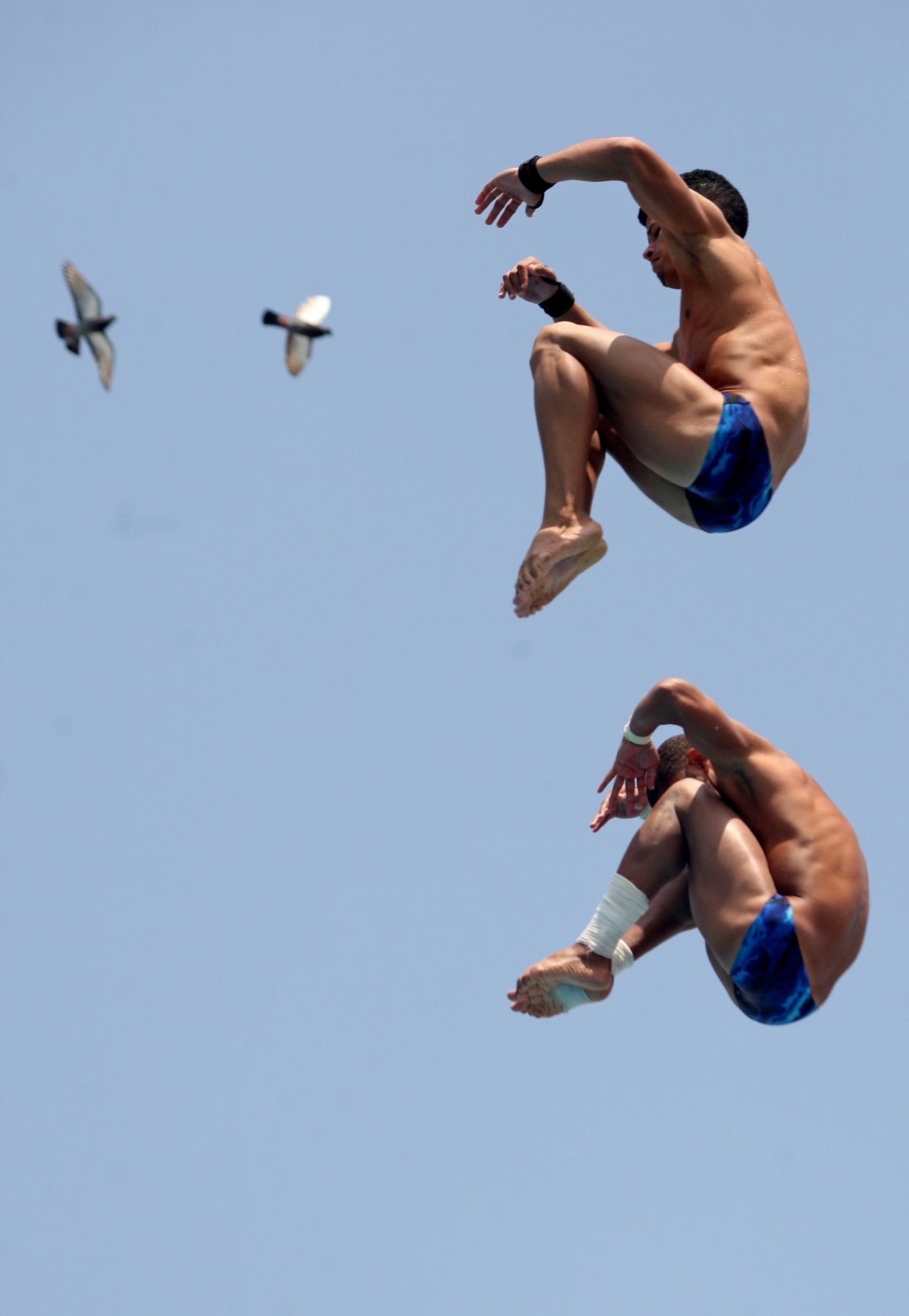 LURIN. 25 DE NOVIEMBRE.Venezuela y Colombia conquistaron medallas de oro en la modalidad de trampolín sincronizado de tres metros en clavados, en la categoría damas y caballeros, respectivamente, en los XVII Juegos Bolivarianos.Foto: ANDINA/Hector Vinces