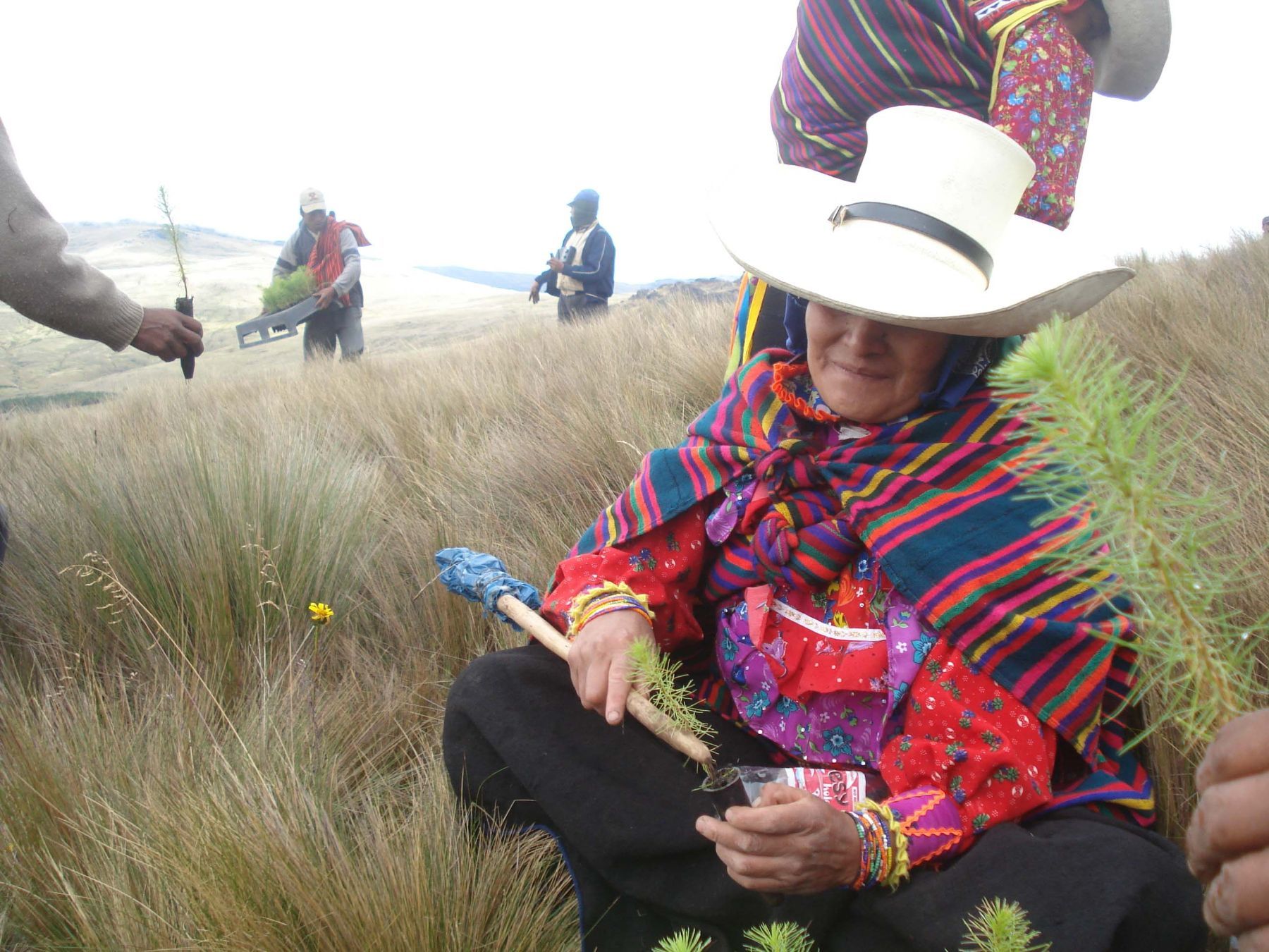 Las comunidades campesinas de Incahuasi participarán en las actividades de reforestación. ANDINA/archivo