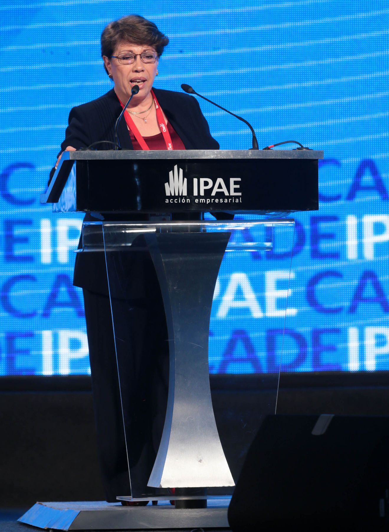PARACAS,PERÚ,NOVIEMBRE 28.Eva Arias presidente de la SNMPE, expone en el CADE 2013.Foto: ANDINA/Carlos Lezama
